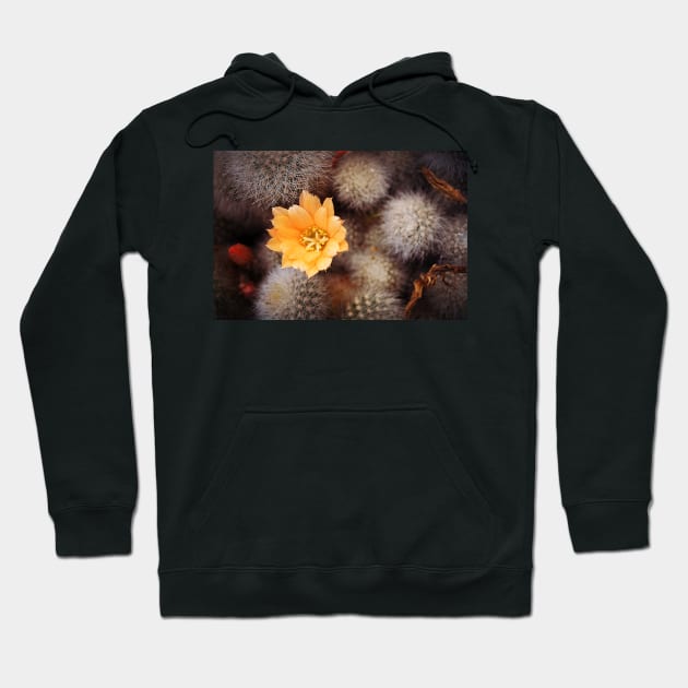 Prickle Queen Hoodie by AlexaZari